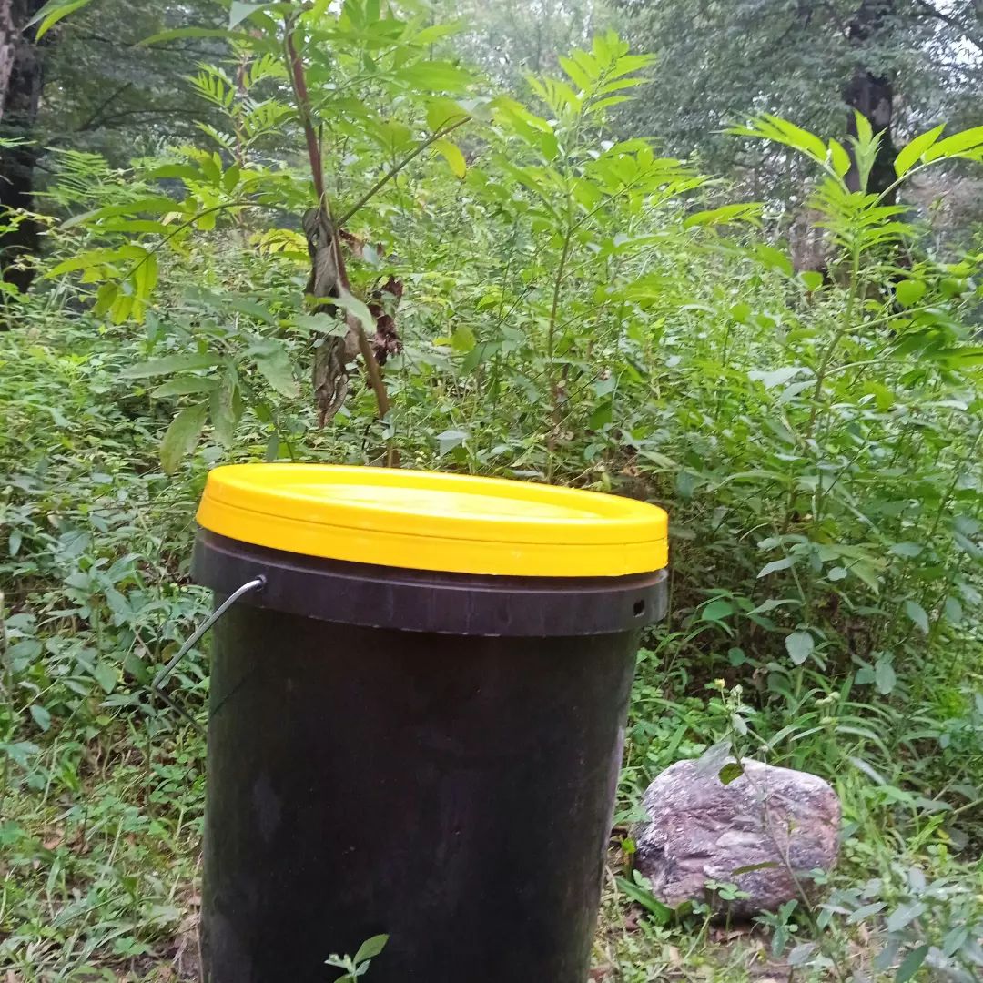 سطل ۲۰لیتری مشکی با درب زرد